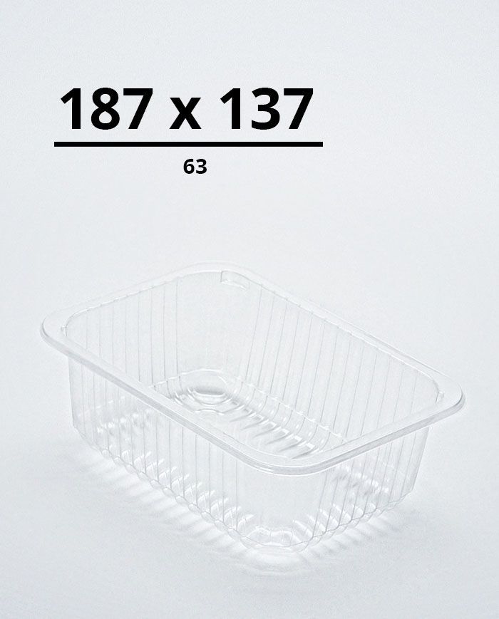 Лоток 187x137x63
