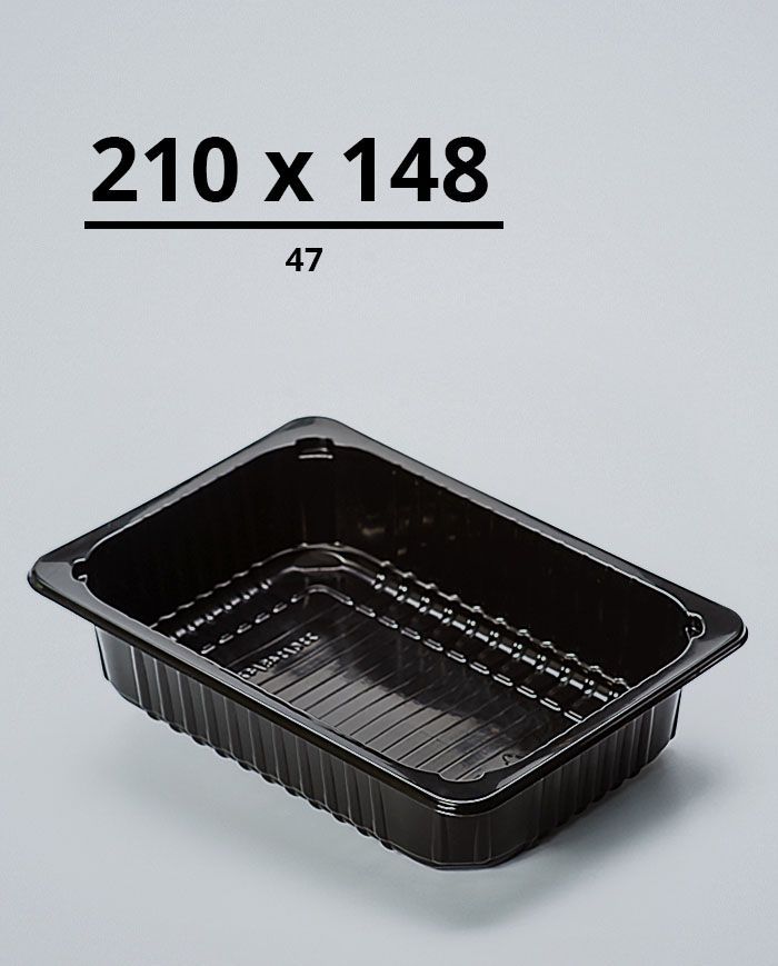 Лоток 210x148x47